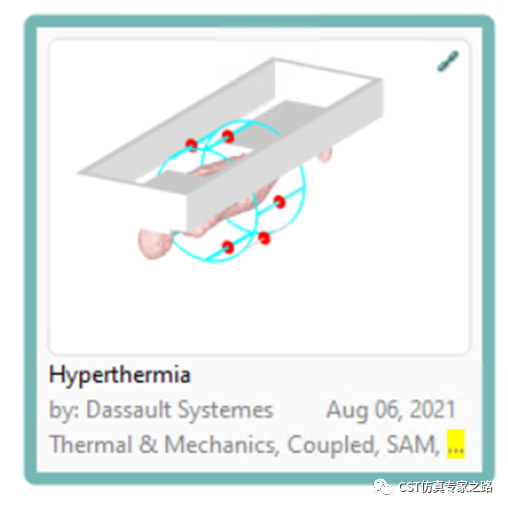 CST仿真實例：熱療Hyperthermia -生物模型，血液對